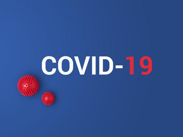 Covid-19 and PPPs